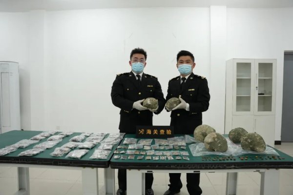 牛途网 冒充玻璃摆件，海关在出口快件渠道查获2366件古生物化石