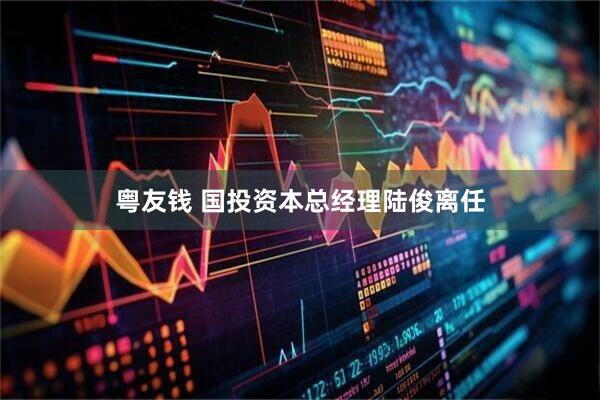 粤友钱 国投资本总经理陆俊离任
