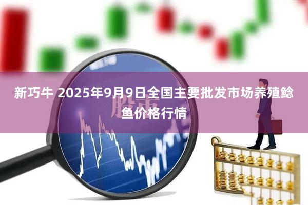 新巧牛 2025年9月9日全国主要批发市场养殖鲶鱼价格行情